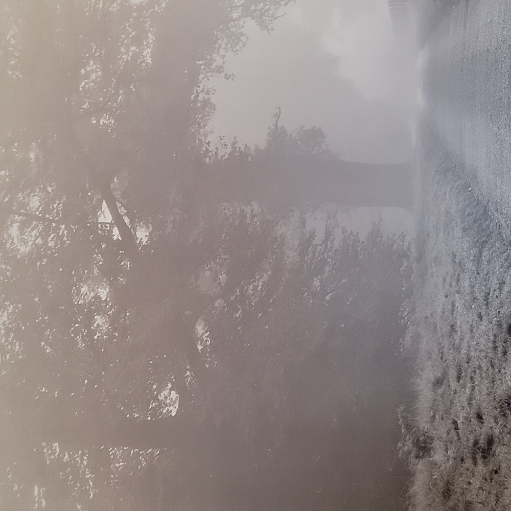 Meet your Posher, Gloryroad187